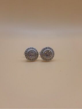 🌵Sparkling Silvery Halo Stud Earrings